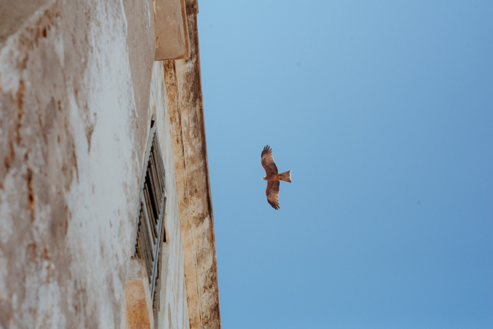 Über den Fischerbooten in Cape Coast kreisen die Vögel, in der Hoffnung einen Happen abzubekommen. Über den Fischerbooten in Cape Coast kreisen die Vögel, in der Hoffnung einen Happen abzubekommen.