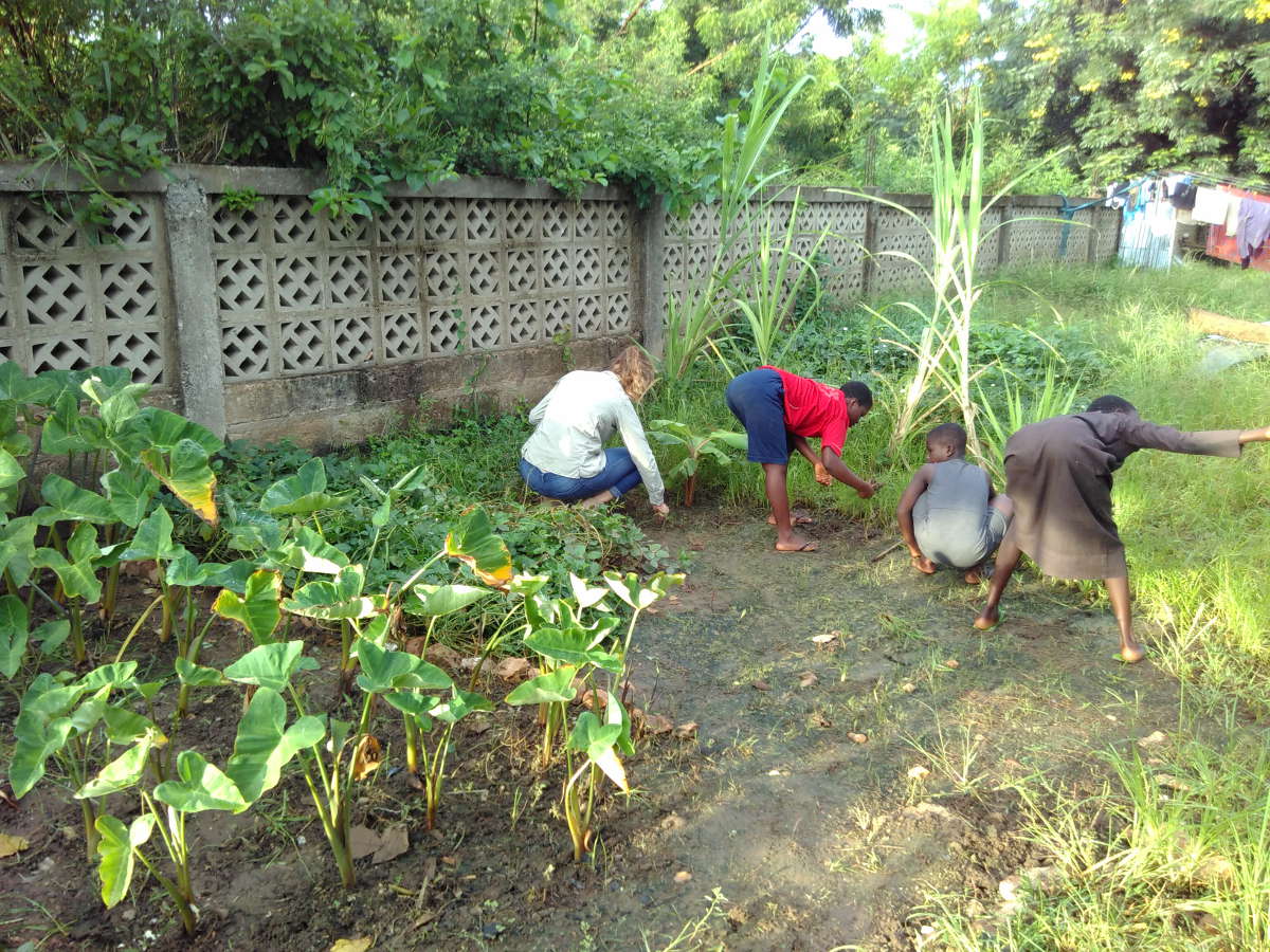 Gemeinsam wurde mit den Kidz im WEM ein eigenes Gem&uuml;sebeet angelegt.